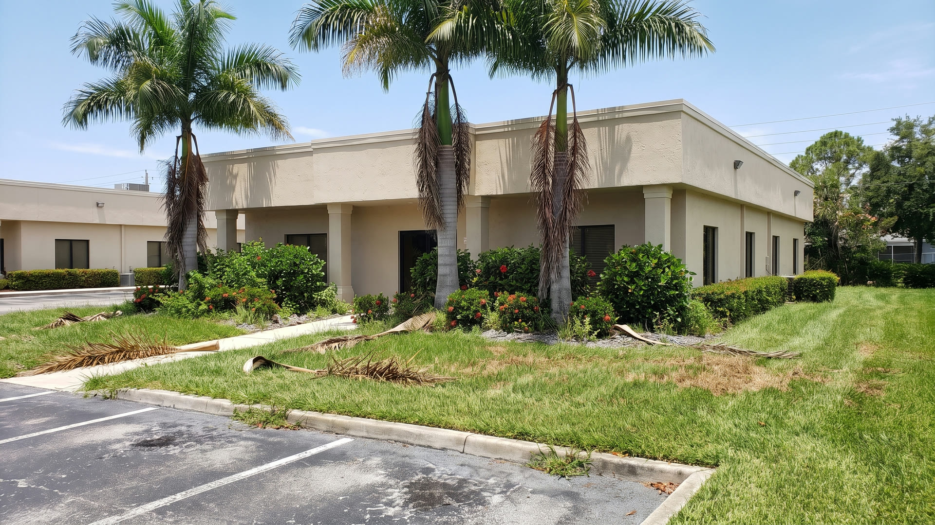 Before: Neglected commercial property with overgrown landscaping